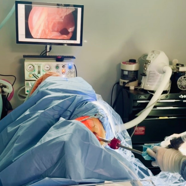 veterinary team doing laparoscopic exam on a dog