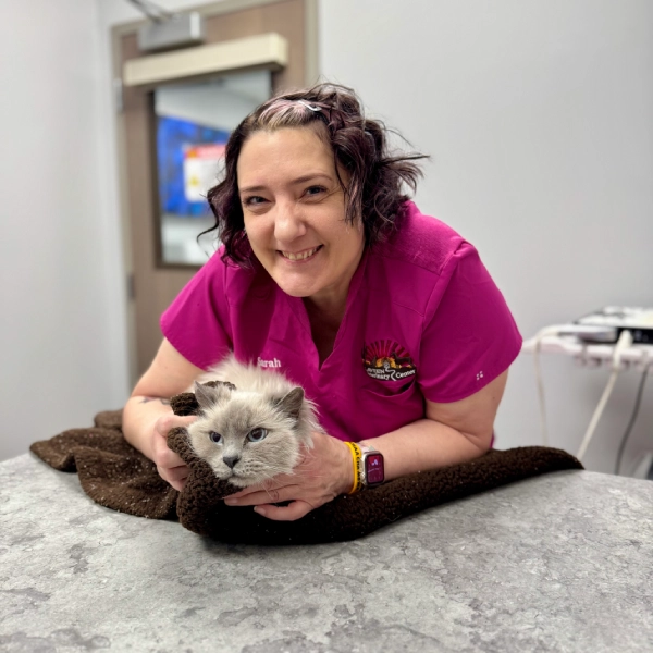 A person in a pink scrub top holds a fluffy gray cat wrapped in a brown blanket.