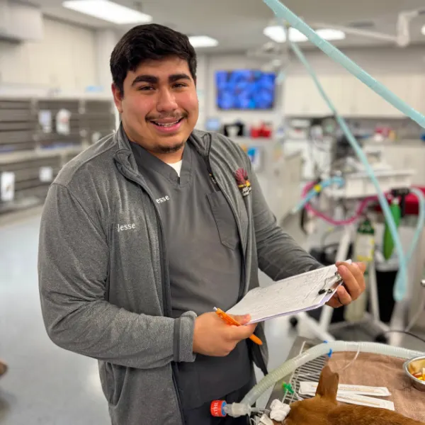 A person wearing a gray scrub top and jacket holds a clipboard and an orange pen in a veterinary clinic.