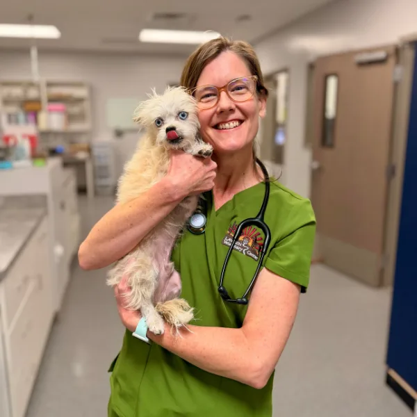 A veterinarian holds a small, fluffy white dog with blue eyes.